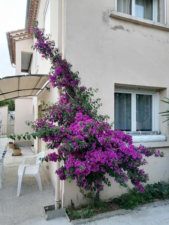 La Maison De 6Fran Appartement 2 Chaleureux Et Calme Ambiance Familiale Valros Zewnętrze zdjęcie